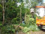 ดำเนินการตัดกิ่งไม้ที่พาดสายไฟบริเวณชุมชนห้วยภูนก