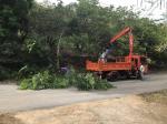 งานป้องกันฯร่วมกับกองช่างตัดกิ่งไม้ข้างทาง ม.1