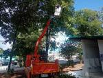 ดำเนินการตัดกิ่งไม้ออกจากหลังคาห้องน้ำ หน้า กศน.อ.ท่าปลา