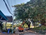 ตัดกิ่งไม้ออกจากสายไฟฟ้าข้างโรงจอดรถเทศบาลตำบลท่าปลา ทางขึ้น
