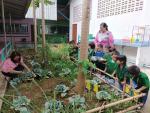 โครงการหนูน้อยปลูกผักสวนครัว เพื่อสร้างความมั่นคงทางอาหาร